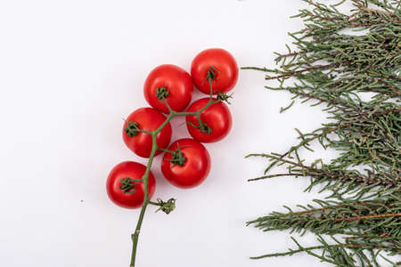 A bunch of tomato on white backgroundの写真素材
