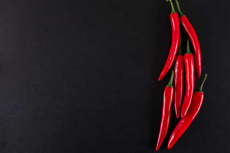 Red hot pepper with copy space on black backgroundの写真素材