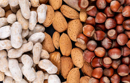 Set of peanut, hazelnut and almond close-upの写真素材