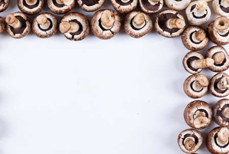 Mushrooms on a white background. top view. space for text