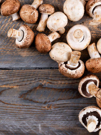 Brown mushrooms on a dark wooden background. top view.の写真素材