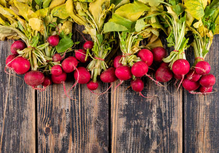 Top view bunch of red fresh radishes with fresh leafs on wooden table background. horizontal free space for your textの写真素材