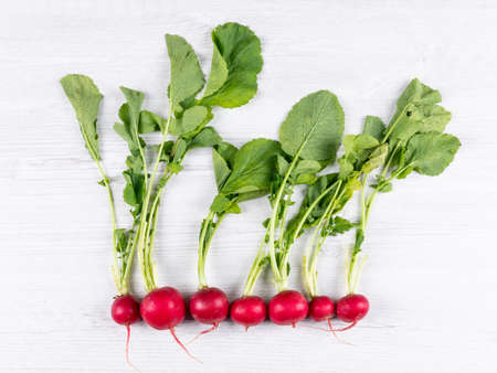 Lined up radishes with leafs top view on a white table background