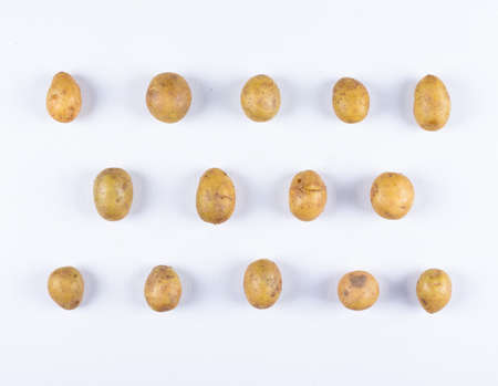 Flat lay lined up potatoes on white background. horizontalの写真素材