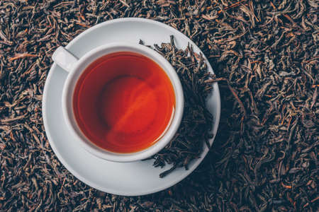 A cup of tea on a tea herbs background. top view.の写真素材