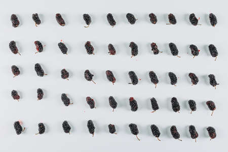 Mulberries lined up on a white background. top view.