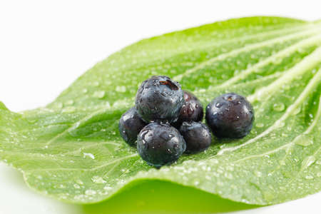 Organic blueberries on a green leaf on a white background. side view.の写真素材