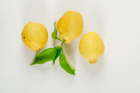 Ripe organic quince fruits flat lay on a white backgroundの写真素材