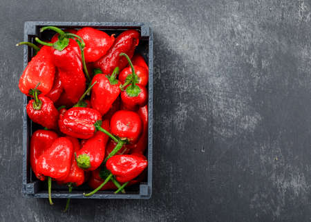 Red peppers in a wooden box on grungy grey background, top view. の写真素材