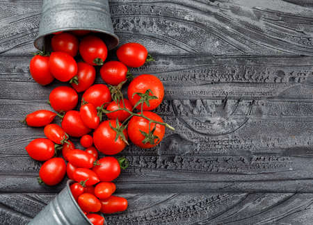 Scattered tomatoes from mini buckets on a grey wooden background. top view.の写真素材