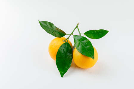 Chilly oranges with branch high angle view on a white backgroundの写真素材