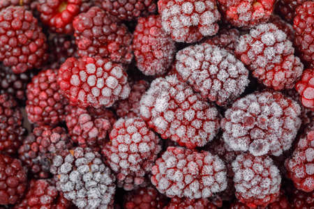 Snowy fresh blackberries . close-up. horizontal.