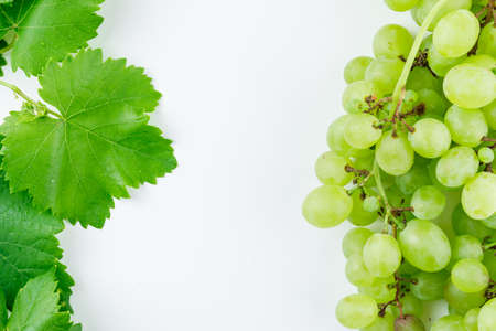 Green grape cluster with leaves flat lay on a white background