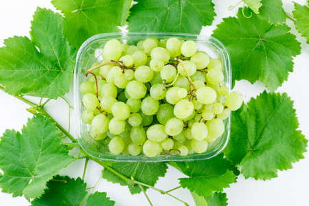 Green grapes in a plastic plate with leaves flat lay on a white backgroundの写真素材