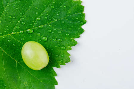 Single grape on white and leave background. flat lay.の写真素材