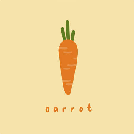 Carrot Symbol. Social Media Post. Fruit Vector Illustration.のイラスト素材
