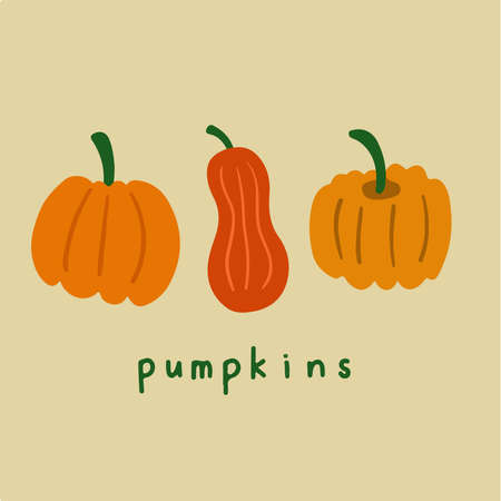 Pumpkin Symbol. Social Media Post. Vector Illustration.
