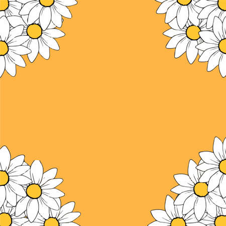 Daisy Flowers Patteern Background. Vector Illustrationのイラスト素材