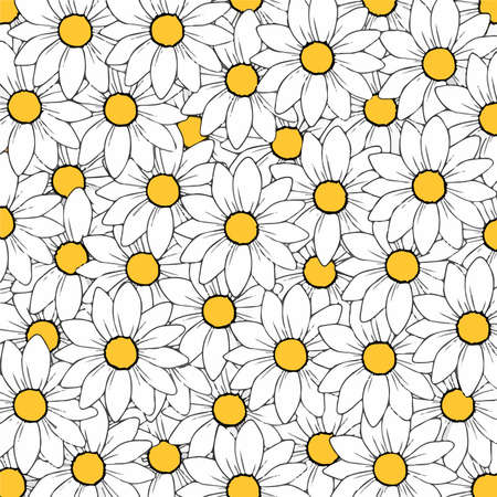 Daisy Flowers Patteern Background. Vector Illustrationのイラスト素材