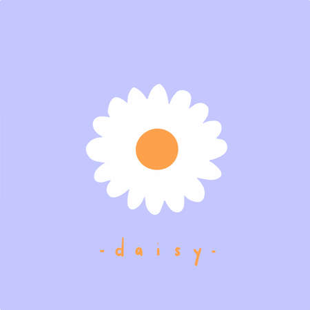 Daisy Flowers Symbol. Social Media Post. Floral Vector Illustration.のイラスト素材