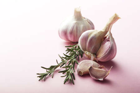 Garlic and Rosemary の写真素材