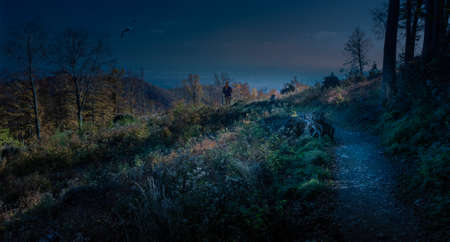 A pathway through the forest in the Medvednica mountainの写真素材