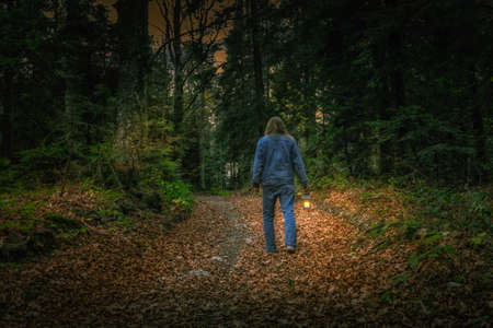 Exploring the mountain woods with a little lampの写真素材