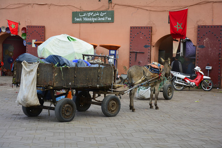 Morocco, Marrakesh, donkey cart on Djemaa el-Fna place, a Unesco world heritage siteのeditorial素材