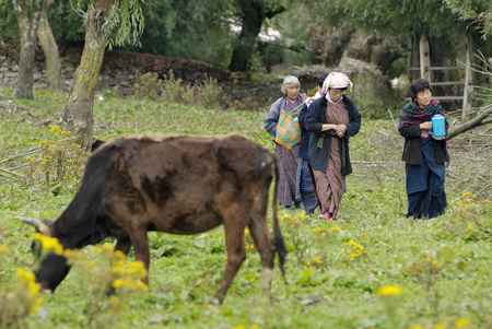 Bhutan, unidentified woman in traditional clothing named Kira in the rural area of mountain village Uraのeditorial素材