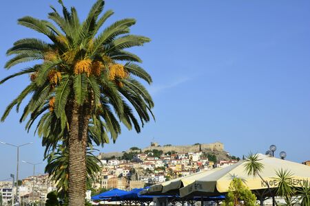 Kavala, Greece - September 17th 2015: Palm tree, buildings and fortress in the city in Eastmacedoniaのeditorial素材