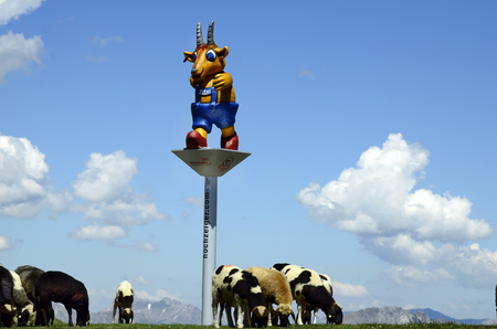 Jerzens, Austria -June 24th 2016: Mascot of Pitztal area named Pitzi on Hochzeiger mountain amidst sheepsのeditorial素材