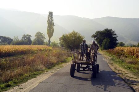 Bulgaria, couple on horse cart between corn fields in Rila valley