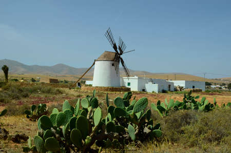 Spain, Canary Island, Fuerteventura, windmill and cacti in LLano de la Conception,の写真素材