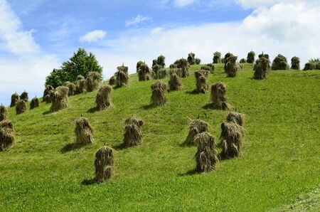 Austria, Tyrol, traditional haystacks named Heumanderlの写真素材