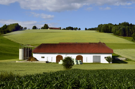 Austria, farm inmidst fields
