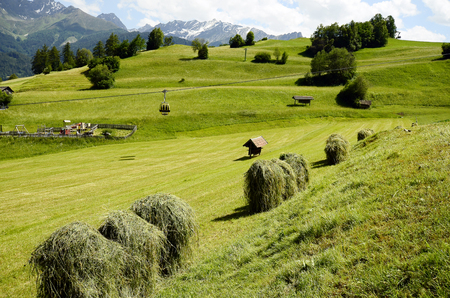 Austria, haystacks on mountain pasture with Austrian Alps behindの写真素材