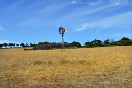 Australia, field with wind wheel in Western Australia