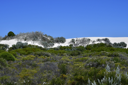 Australia, WA, sand dunes and vegetation along Indian Oceanの写真素材