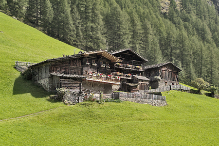 Italy, homestead in traditional timber structure in Val di Senalesのeditorial素材
