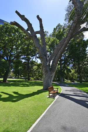 Australia, Perth, public supreme court gardenの写真素材
