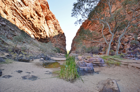 Australia, Northern Territory, waterhole in Simpson Gapの写真素材