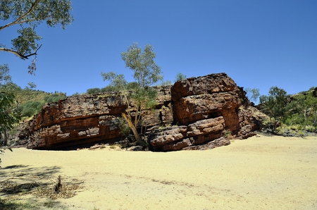 Australia, NT, Trephina Gorge in East McDonnell Range national park, dry riverbed and eucalyptus treesの写真素材