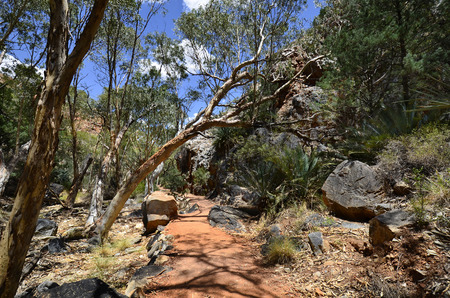 Australia, NT, footpath into Standley Chasm in McDonnell Range national parkの写真素材