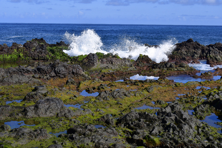 Spain, Canary Islands, Tenerife, coast at low tide and volcanic rocks in Puerto de la Cruzの写真素材