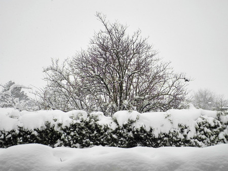 Austria, winter scenic,の写真素材