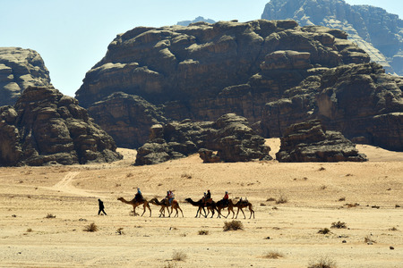 Wadi Rum, Jordan - March 07, 2019: Unidentified tourists on camel ride in Middle Eastのeditorial素材