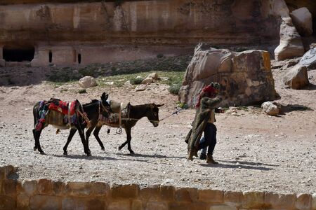 Petra, Jordan - March 06, 2019: Unidentified Bedouins with Donkeys for Tourist Rides in Ancient Petra, a UNESCO World Heritage Site in the Middle Eastのeditorial素材