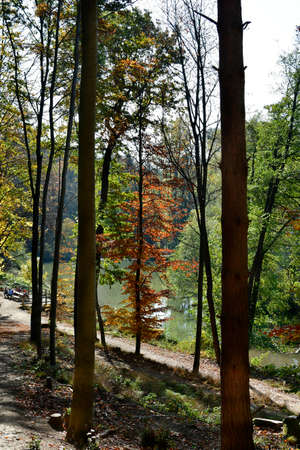 Austria, Unidentified people rest on pond, an autumn impression in natural preserve Sparbach, Lower...