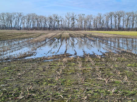 Austria, Reisenberg, agriculturally used fields partly under water and rows of trees as wind...