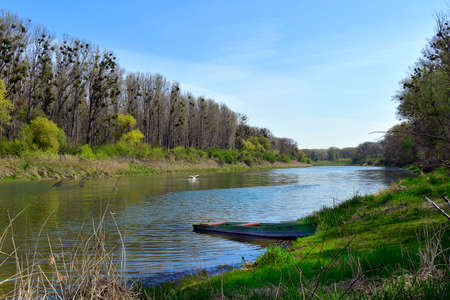 Austria, landscape with oxbow lake and trees infested with mistletoe in the Donau-Auen National Park in Lower Austriaの写真素材